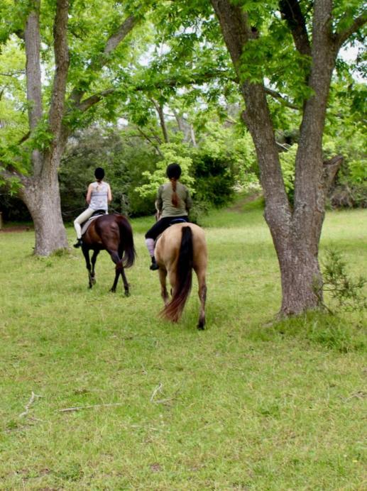 Kingfisher Cottage At Boschrivier Farm Plettenberg BayWittedrif エクステリア 写真