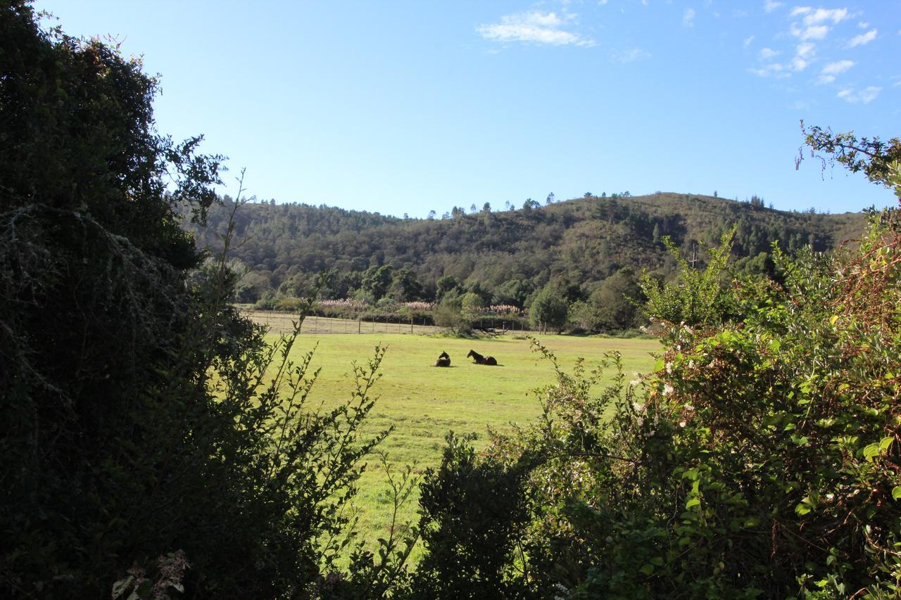 Kingfisher Cottage At Boschrivier Farm Plettenberg BayWittedrif エクステリア 写真