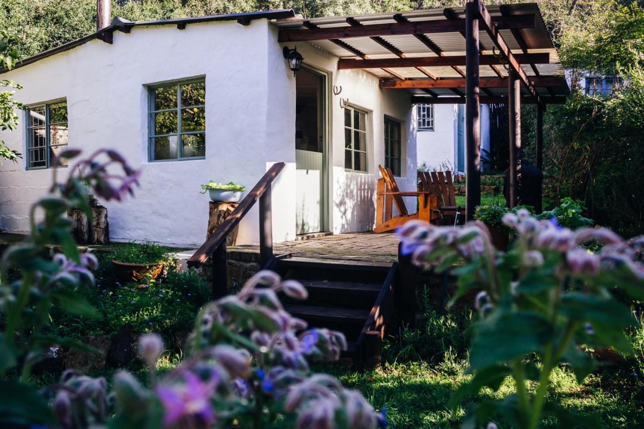 Kingfisher Cottage At Boschrivier Farm Plettenberg BayWittedrif エクステリア 写真